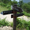 봉화산등산로 이미지