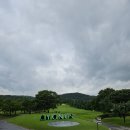 시그너스CC(대중제) 이미지