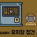 [유치장 접견 합봉법 ] 죽산벌꿀 스타일의 여왕벌 교체 방법 소개합니다. 이미지