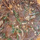 철이네국수집 이미지