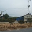 전일농장 이미지