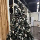지지래쉬제주