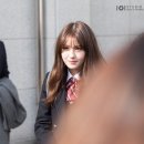 댓나잇