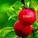 (주)우분투 네이버블로그