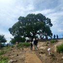 소답동102 이미지