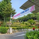 도당애견 이미지