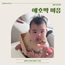애호박 | 베이비브레짜 이유식기 후기 애호박미음 만들기 성공!