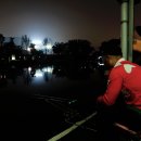 물반고기반 이미지