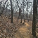 우면산7-2-2 이미지