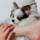 아리온헤어