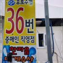 백년대게 이미지