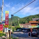 장구밭식당 네이버블로그