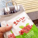 평창으뜸농원