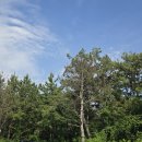 [15편] 2025년6월14일 토요일 서해랑길 41코스를 다녀와서! 이미지