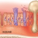 (주)에이알씨 이미지