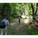 김홍집선생묘 이미지