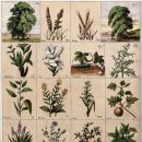 천초한의원 이미지