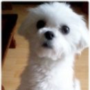 대전가장초등학교 이미지