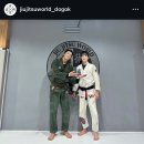 블랙벨트월드 태권도체육관 | 매봉역 주짓수 체육관 주짓수월드 도곡점 가오픈 3일 수업 들어본 후기!