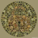 색 다른 시선 이미지