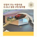 두루미평화마을 | 단절이 주는 완벽함, 철원 DMZ 1박2일 기업힐링여행