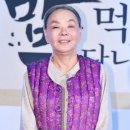 김수미 카카오 검색결과