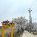 개성코다리 해물찜 이미지