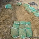 신등농장 이미지