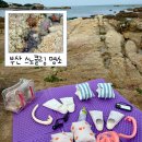 바다정수산업(주) - 2400 | 부산 스노클링 명소 해루질 스팟 취사도 가능한 기장해양정수센터 물고기 꽤 많음