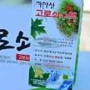 한티농장 이미지