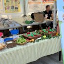 고산촌농촌체험휴양마을 | [현장 스케치] 2026 농촌여행 페스티벌, 충남농촌체험휴양마을협의회 부스 운영 후기!