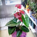 한승희 산부인과 의원 이미지