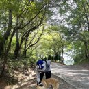 몽이네쉼터 이미지