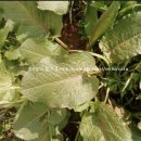 고금한의원 이미지