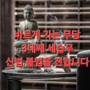 고냥이네 | 창원 신점 잘보는곳 해령신당 귀여운 고냥이들