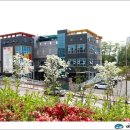 글로벌샤인유치원 이미지