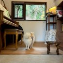 만찐두빵 이미지