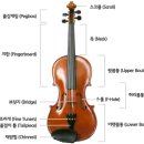 바이올린 이미지