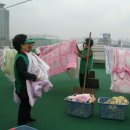 성모세탁소 이미지