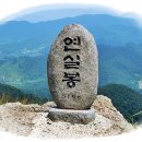 보성의영광