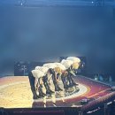 (주)쎈게임 | 일상| 6명의 왕자가 나에게 청혼을하면 곤란한데요 ,,~ ❤️‍🔥