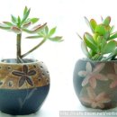 버베나 하우스 이미지