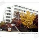 신정여상 이미지