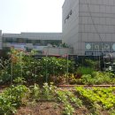 가양2동 주민센타 이미지