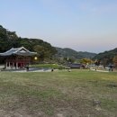 작성산성 | 서울 근교 나들이 추천! 20개월 아기와 남한산성 단풍 산책 후기 🍁