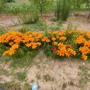 한길타조농장 이미지