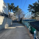 729민박 | [인천 을왕리 해수욕장] 대명펜션 - 애견동반 숙소, 솔직 후기