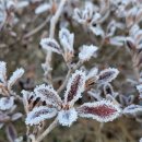 진달래산천 | 4. 종이 한 장의 감수성
