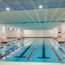 포항실내수영장 이미지
