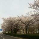 (주)은장 지곡주유소 | #포항공대버거킹#버거킹행사#포항공과대학교#영일대
